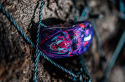 Blast Austin Major 2025 - First Editions - by Brock Hofer